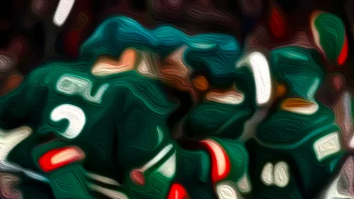 Minnesota Wild image