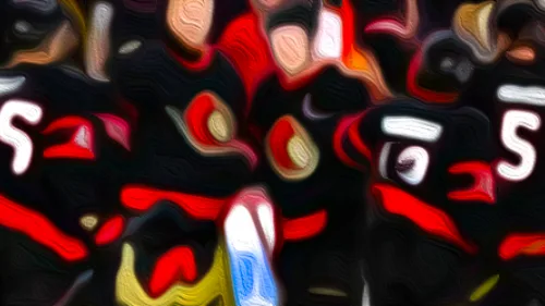 Ottawa Senators image